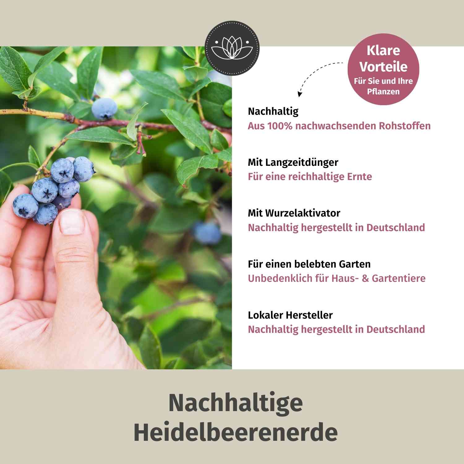 Heidelbeer Erde Bio